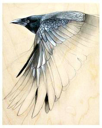 c6bf85_8e46b1904988494bb232e680e5808ce4